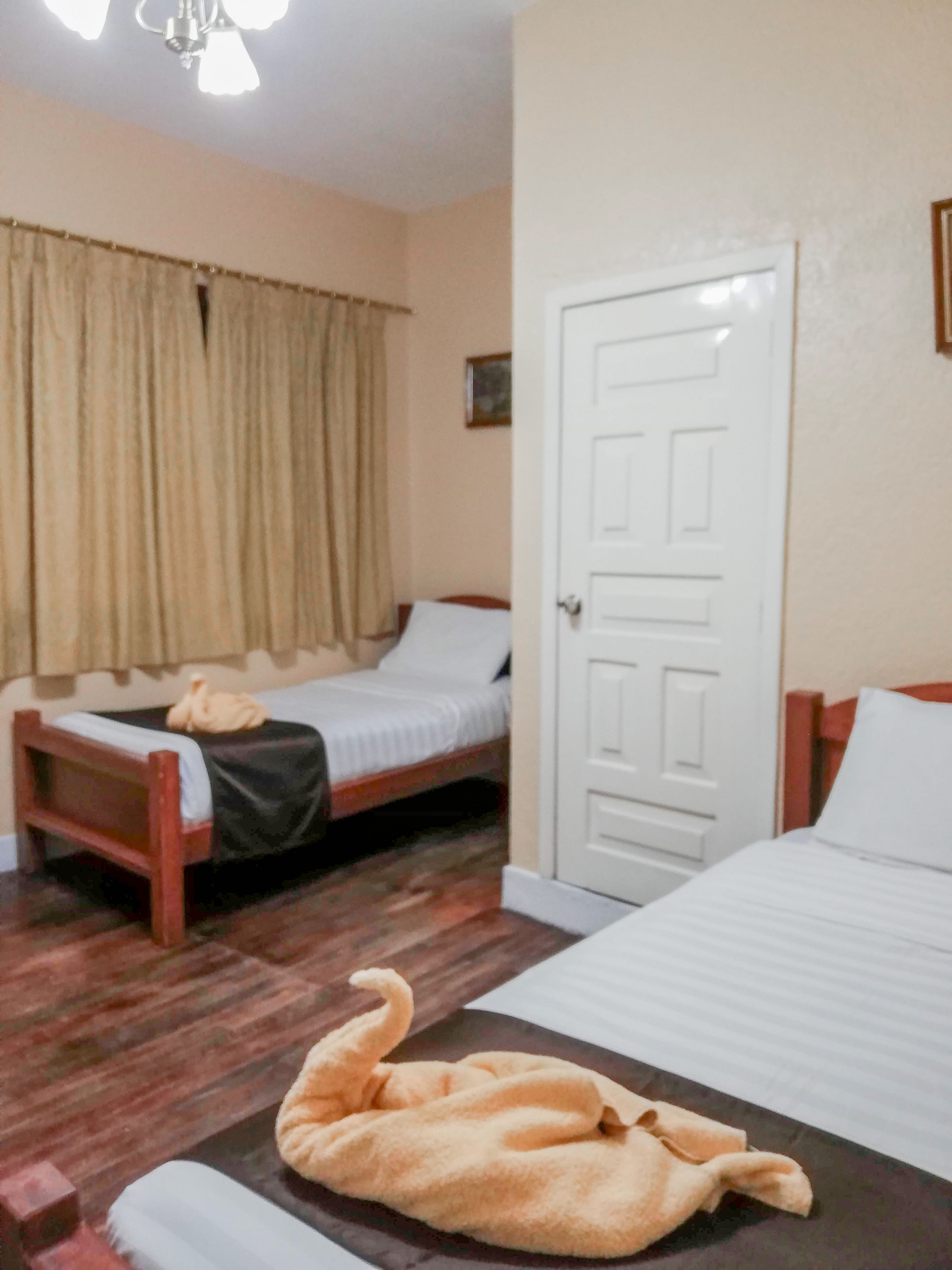 Foto - Hostal Loro Verde