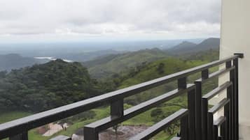 Vista desde la propiedad