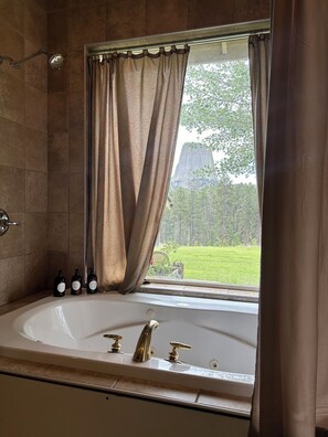 Room, 1 Queen Bed, Non Smoking (The Green Room) | Bathroom | Separate tub and shower, hair dryer, towels, soap