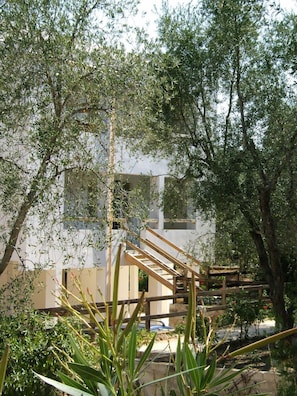 Vista desde la habitación