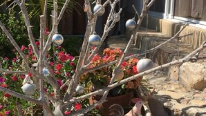 A garden with a tree adorned with spherical ornaments, surrounded by rocks and flowering plants. - Casa del Mar (Santa María Tonameca)