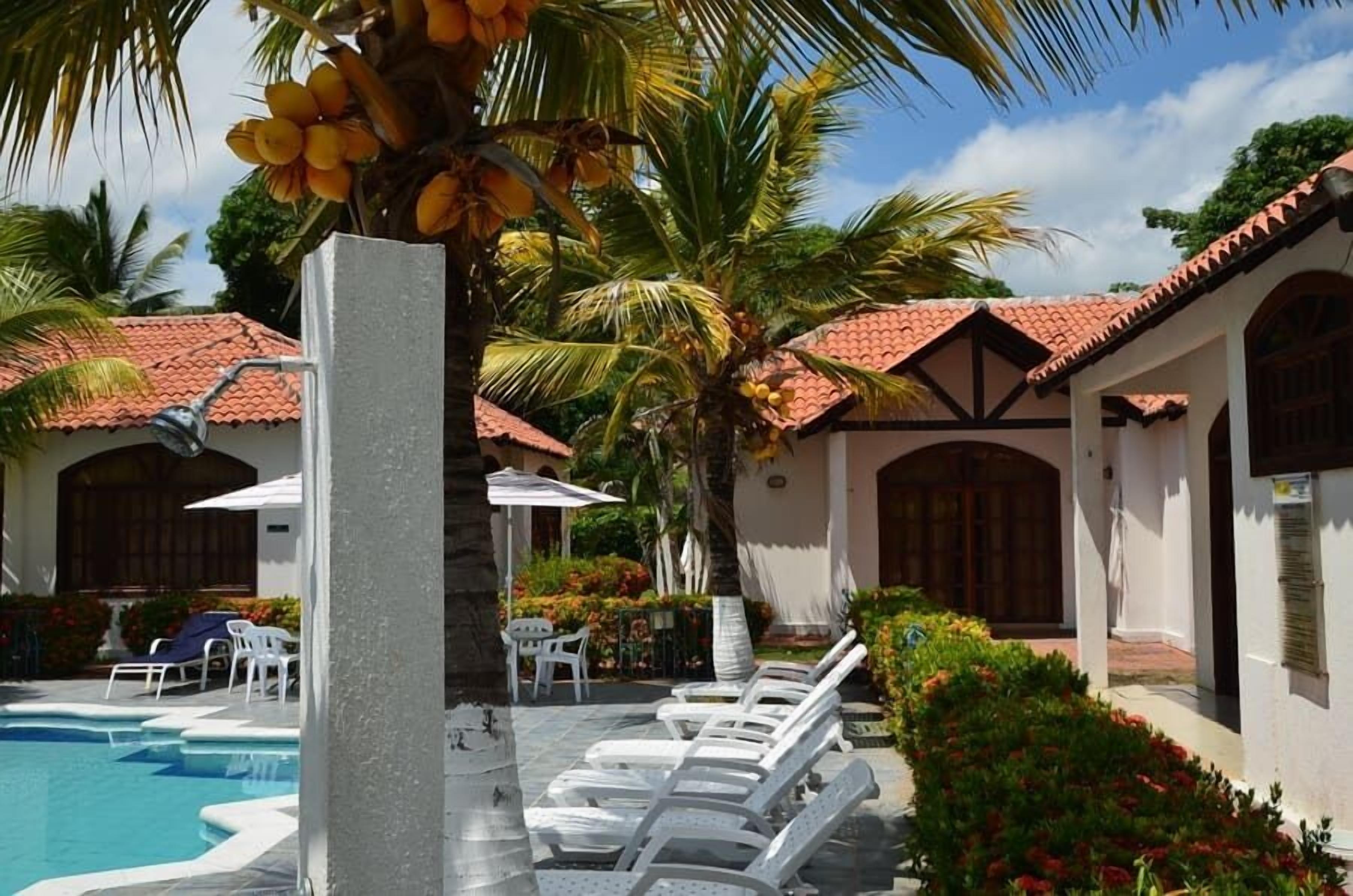 Zona de piscina con sillones de descanso, una palmera y un edificio con techo de tejas.