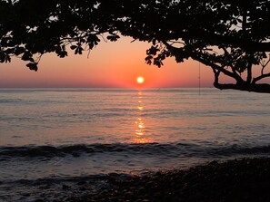 A la platja, platja de sorra negra i gandules de platja 