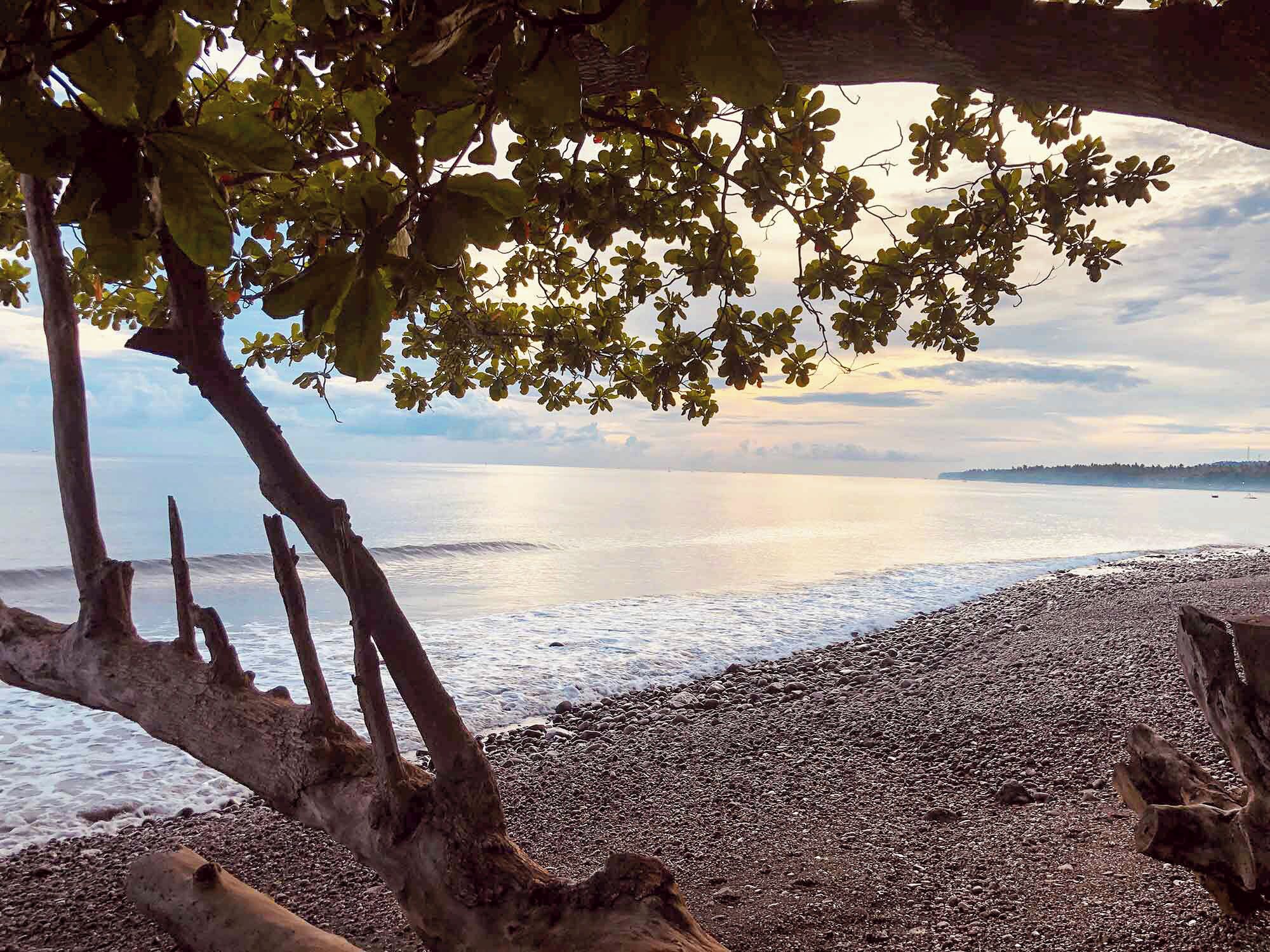 Vista da propriedade
