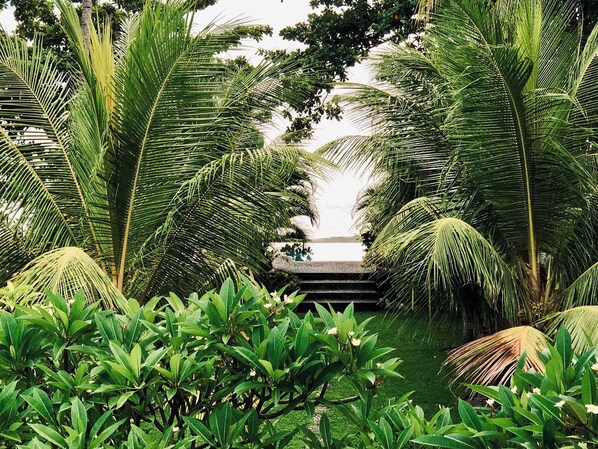 Garden - Devi's Place Tejakula (Tejakula)