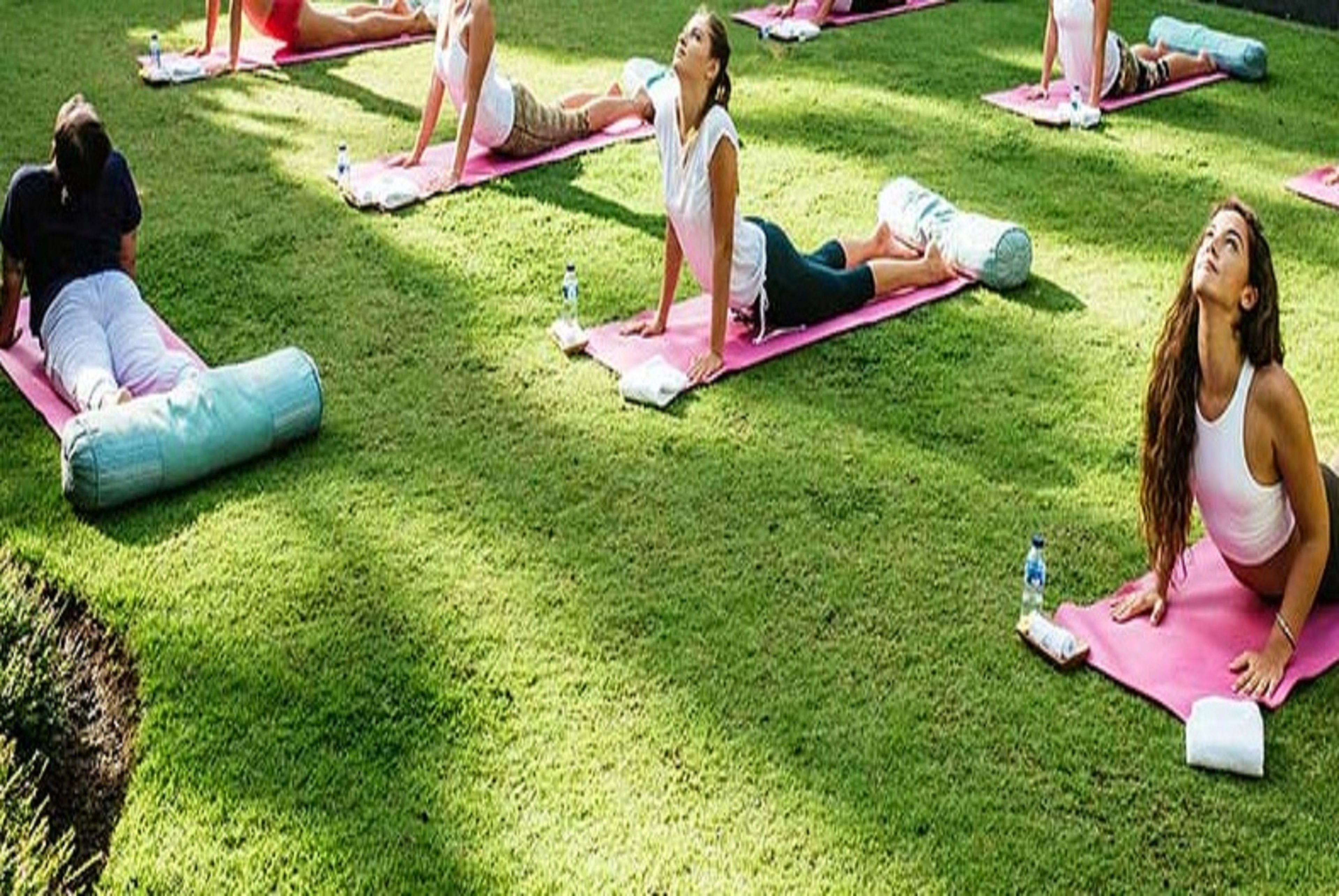 A group of people on yoga mats outdoors on grass.