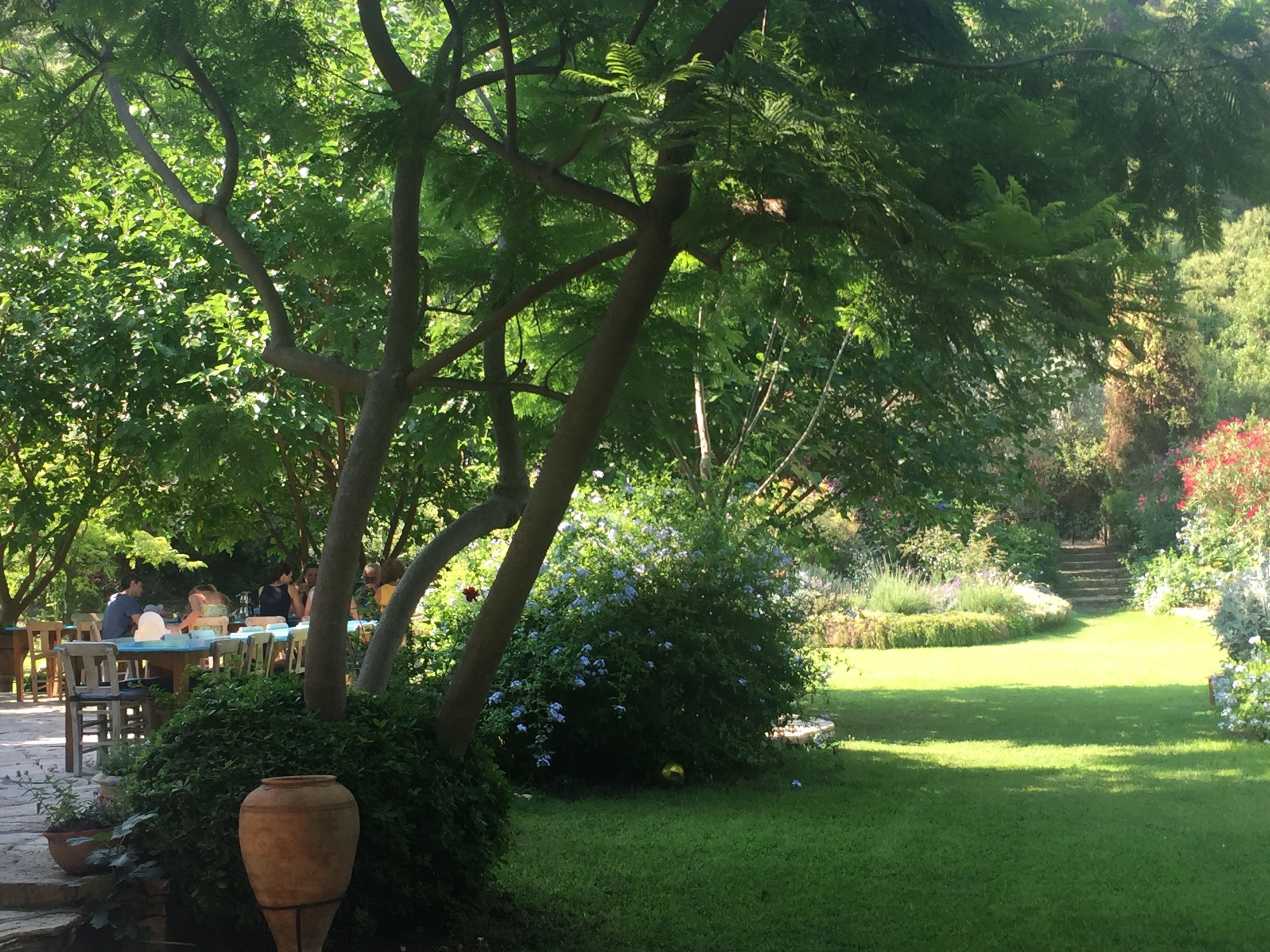 A lush garden with a patio area, a large tree, and a pathway leading to a building.