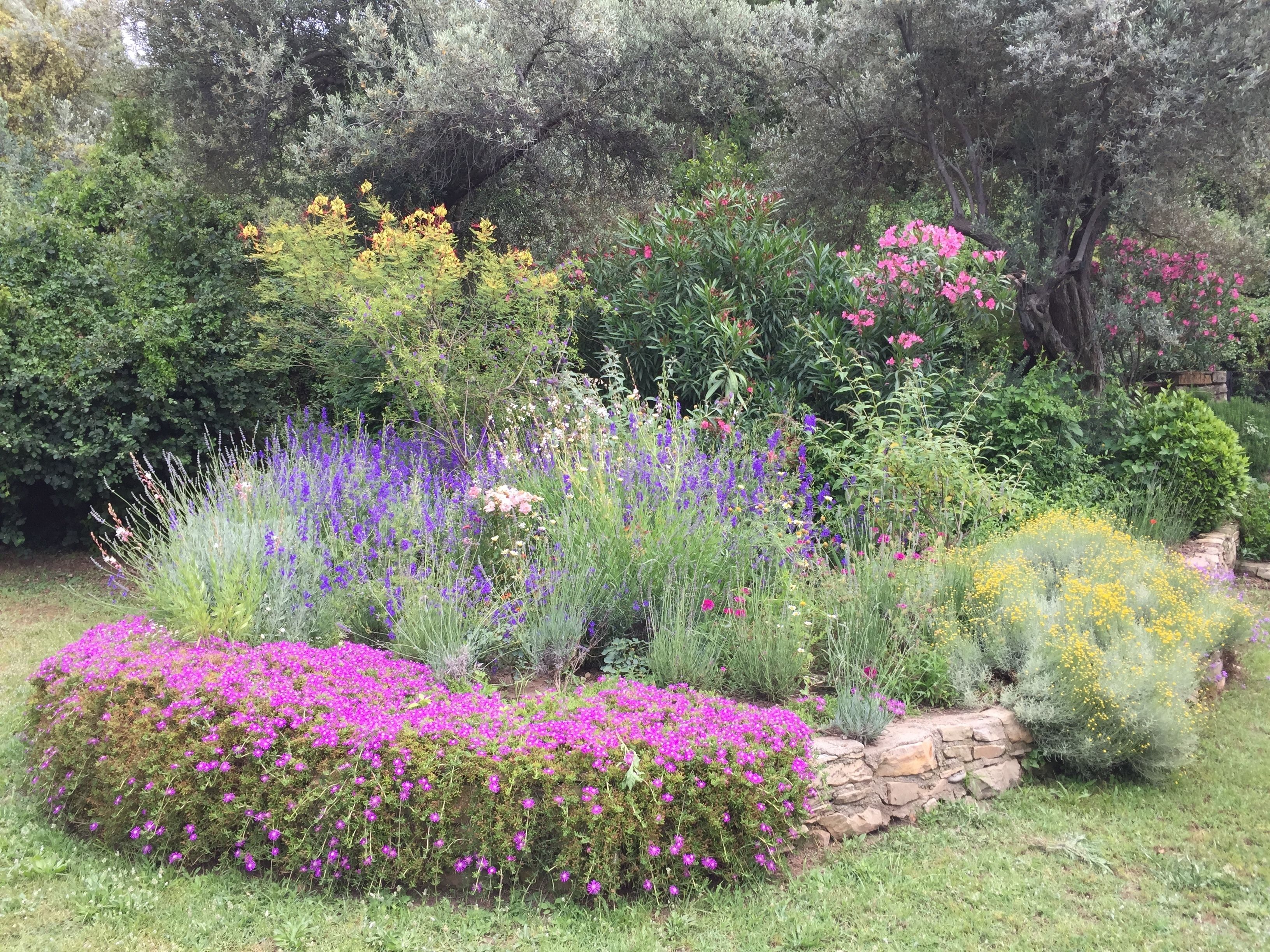 Un jardin agrémenté de diverses plantes à fleurs et doté d’un mur en pierre.