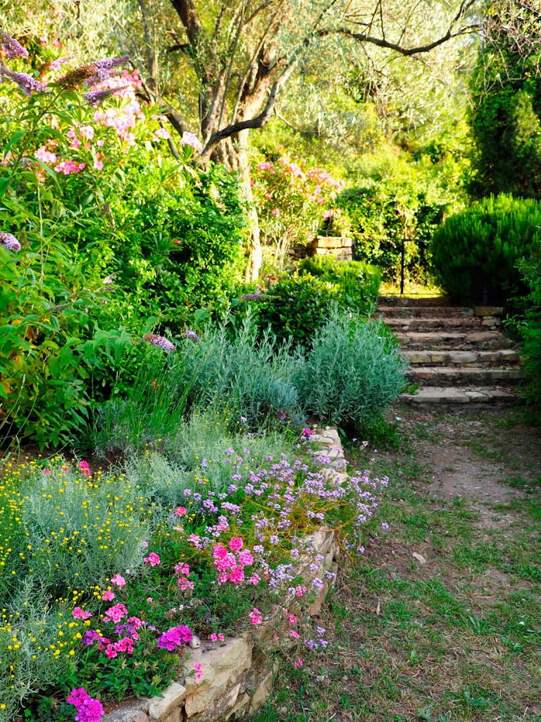 Un giardino con un sentiero in pietra che si snoda tra piante e fiori.