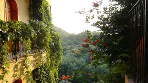 Un balcón con vistas a un jardín exuberante y una montaña al fondo.