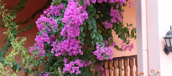 Emel Pension