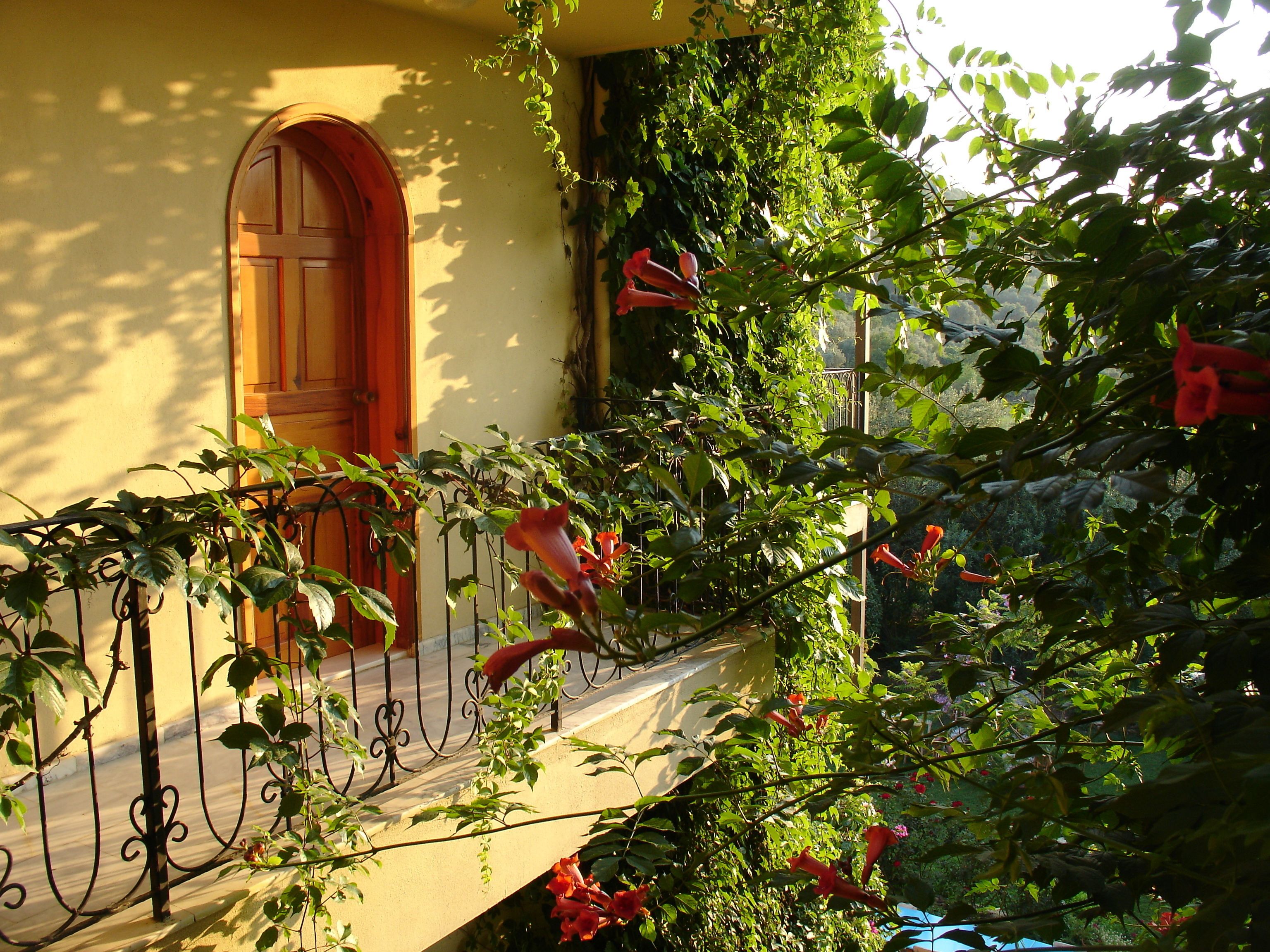 A balcony with a wrought iron railing, a wooden door, and lush green foliage.