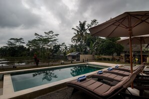 Outdoor pool, pool umbrellas, pool loungers - Niniku villa (Tegallalang)