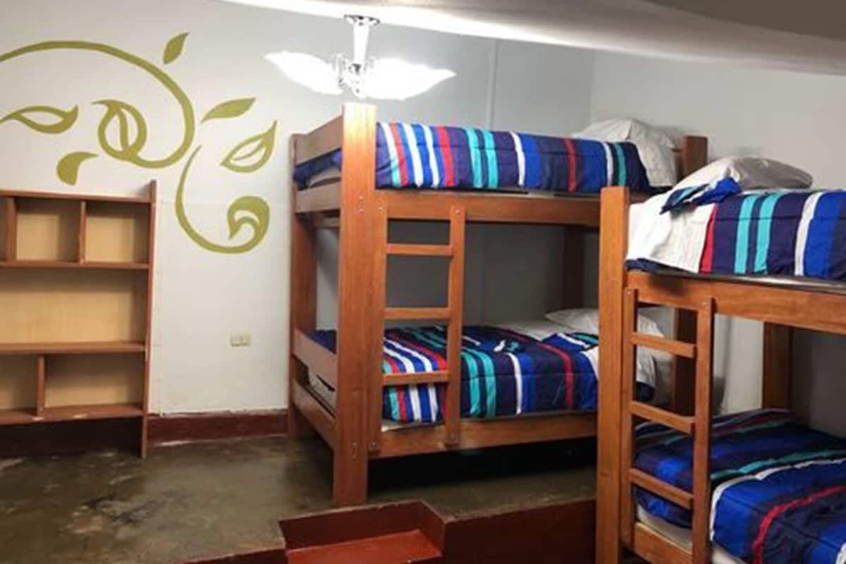 A dormitory room with bunk beds, a ceiling fan, and a wall with a green leaf design.