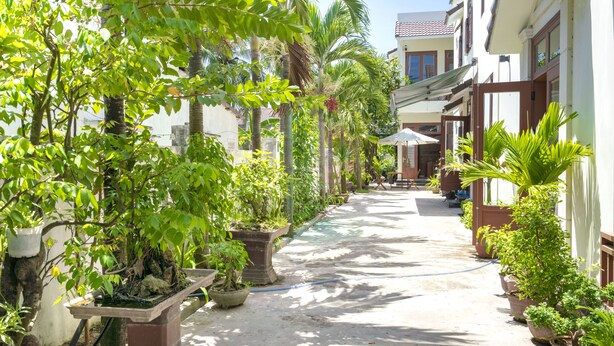 A narrow pathway flanked by potted plants and buildings, suggesting a courtyard or garden area. - Green Garden Hoi An Villa (Da Nang)