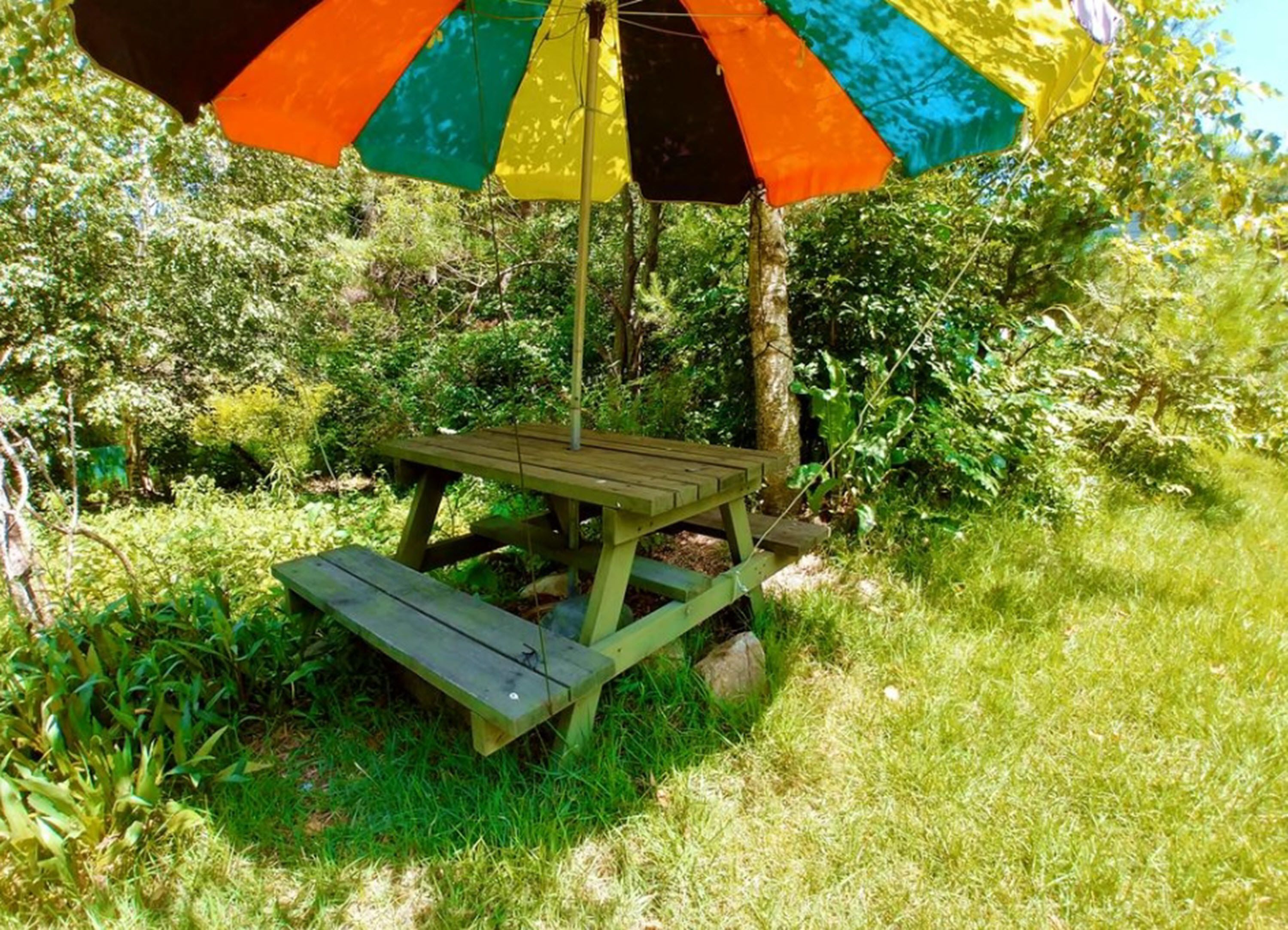 A picnic table with a colorful umbrella in a garden setting.