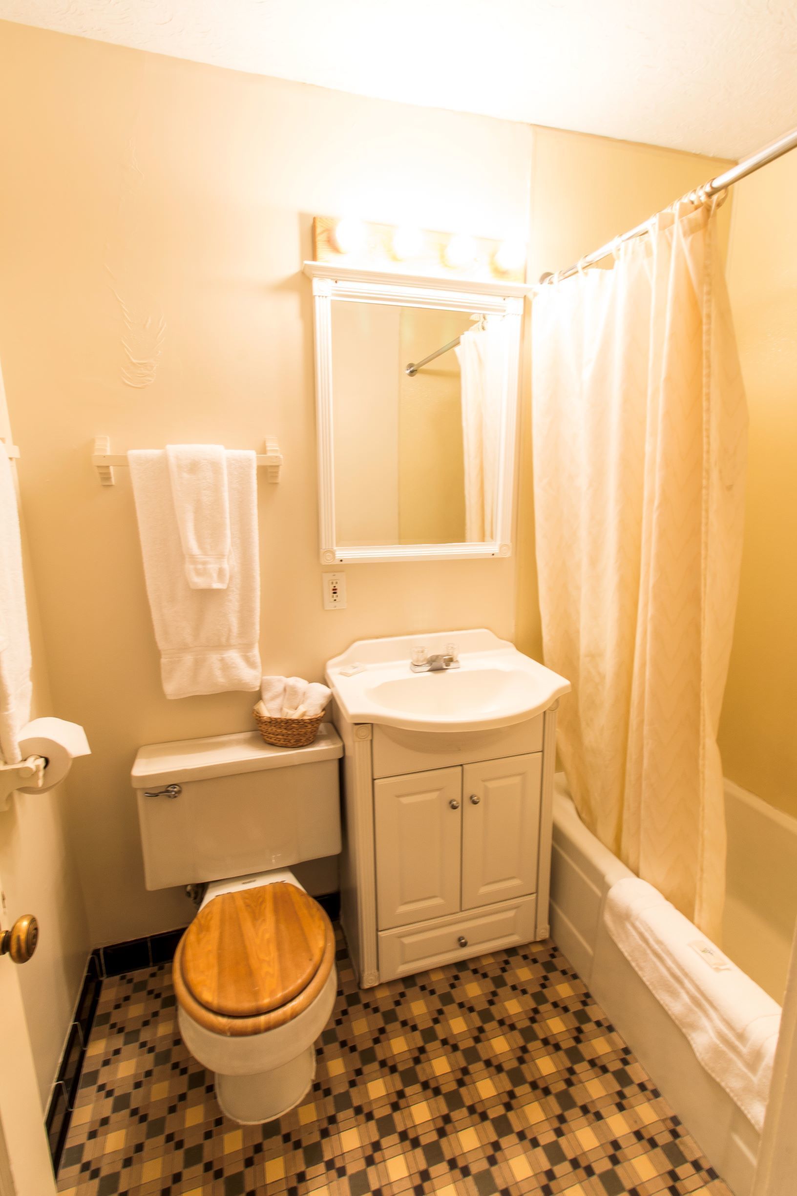 combined shower/bathtub, free toiletries, hair dryer, towels