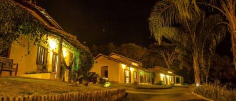 A nighttime view of a row of houses with a paved pathway, surrounded by greenery and palm trees.