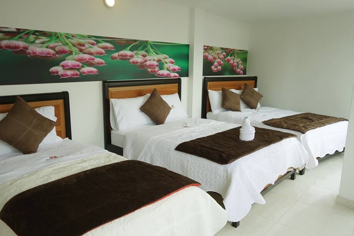 Basic Room, Multiple Beds, Non Smoking | Blackout drapes, soundproofing, iron/ironing board (on request)