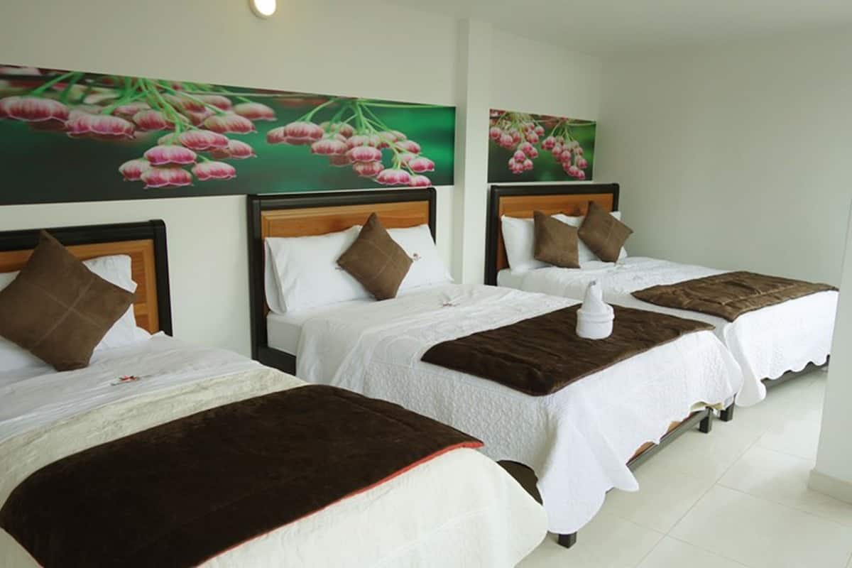 Basic Room, Multiple Beds, Non Smoking
