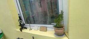 A window sill with a potted plant, a keyboard, and a microscope. - Guest House Nise (Tbilisi)