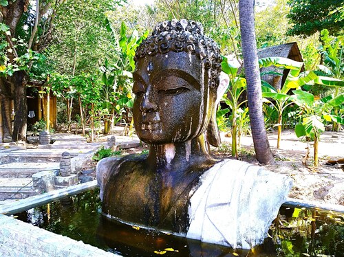 Ocean Prana - Hostel