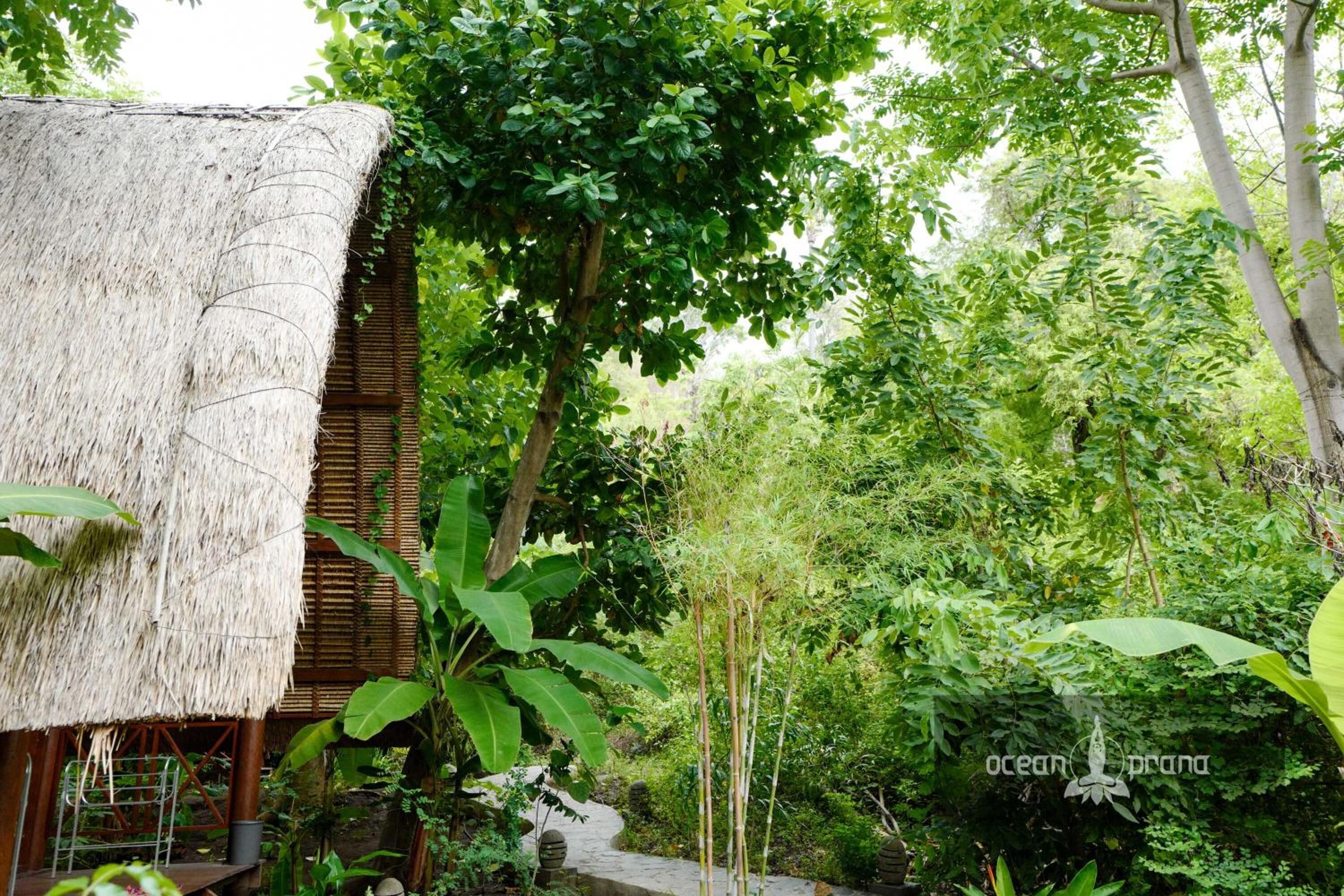 A thatched-roof structure surrounded by lush greenery and a stone pathway.