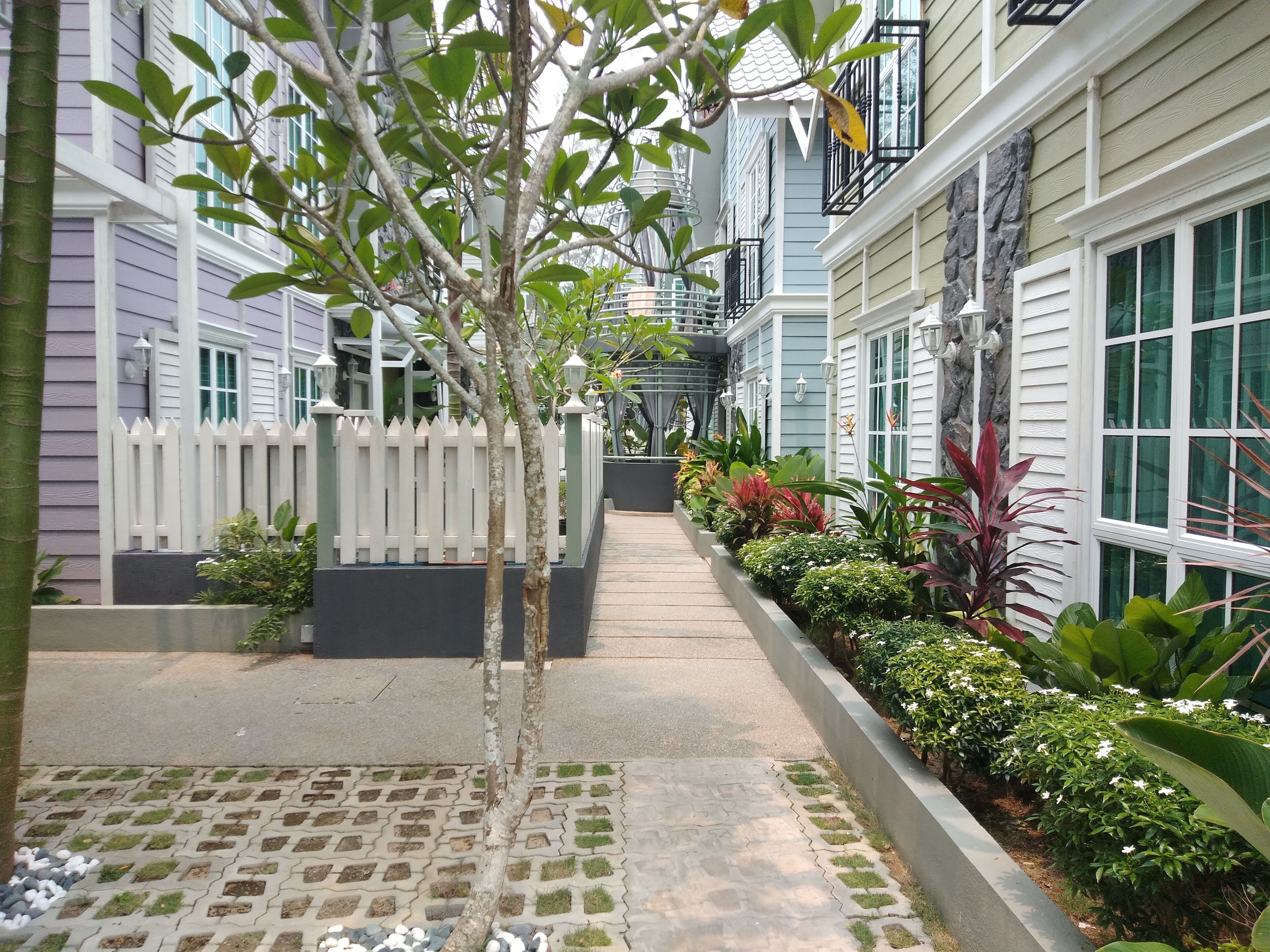 A narrow pathway flanked by buildings with a white picket fence and a variety of plants.