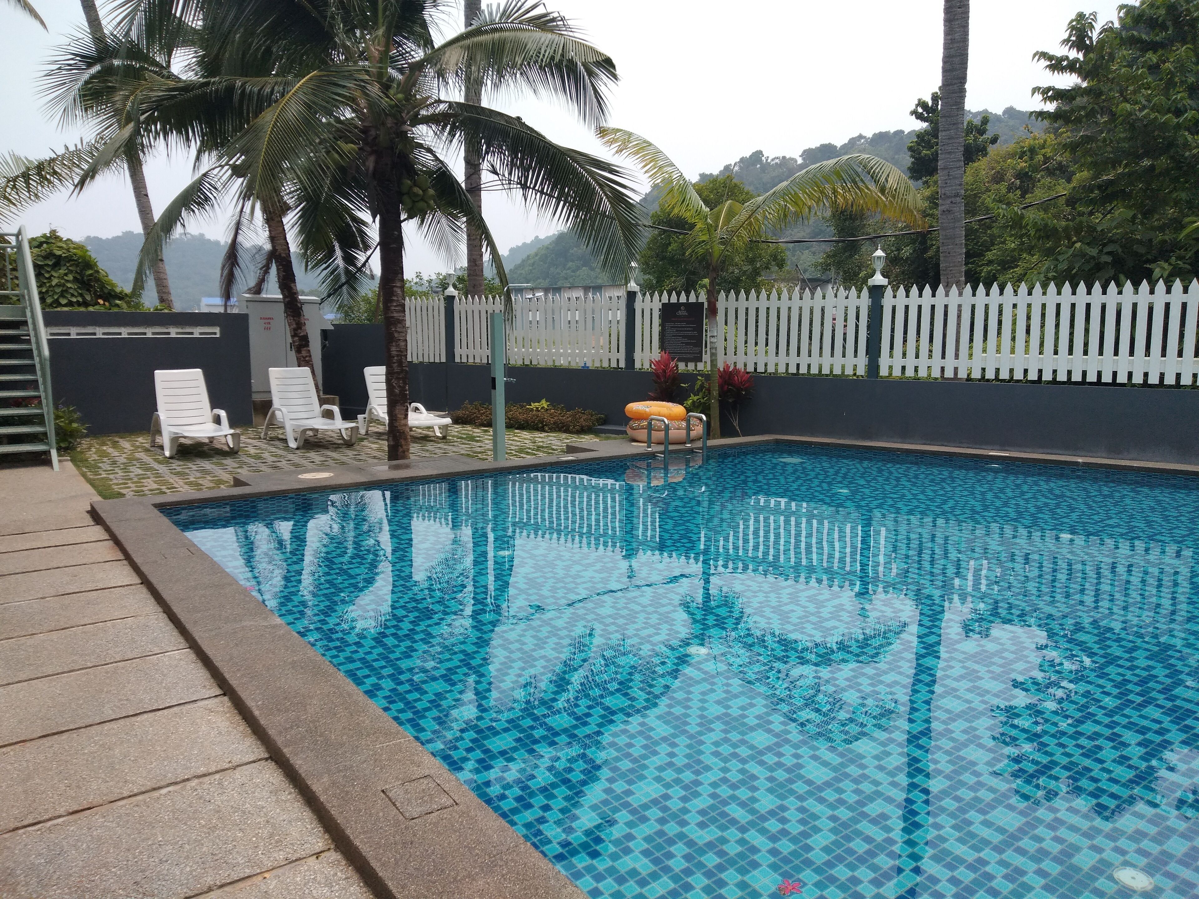 A swimming pool with a white fence, lounge chairs, and palm trees.