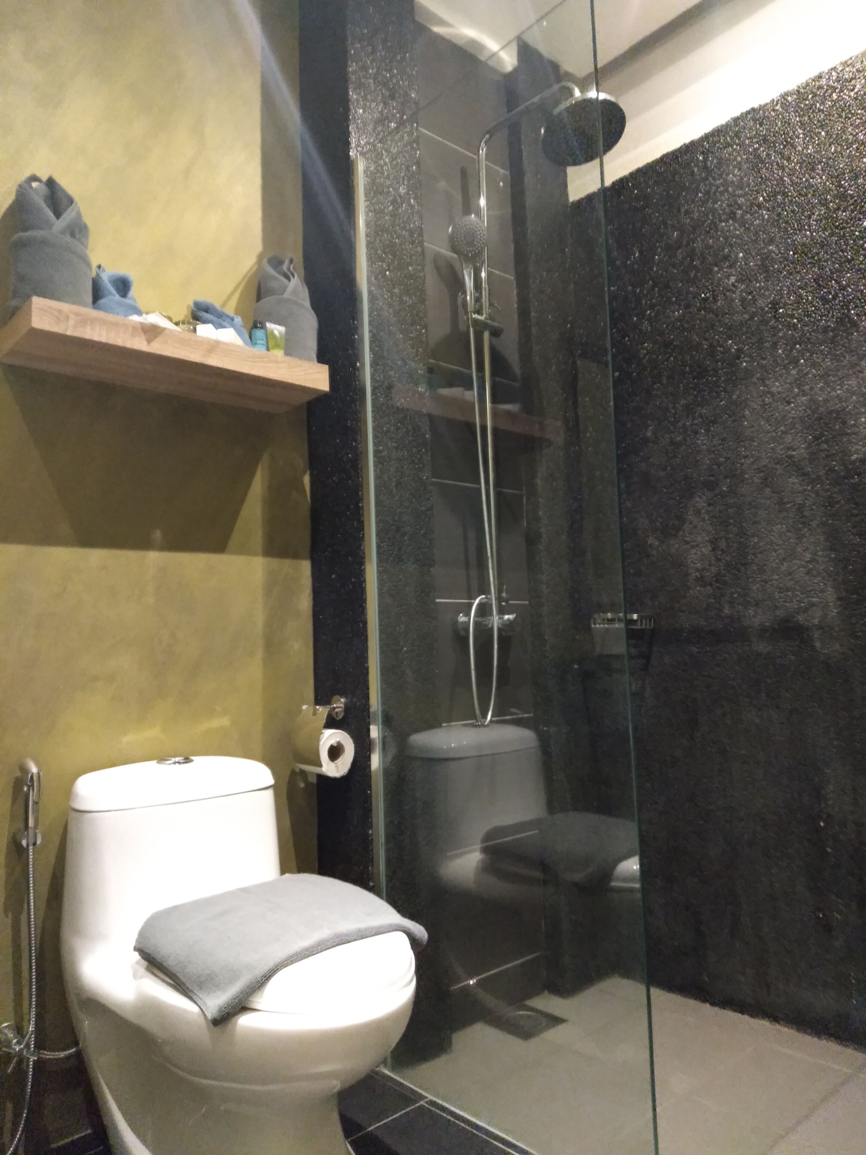 Un baño con inodoro, ducha con mampara de vidrio y estante con artículos de aseo.