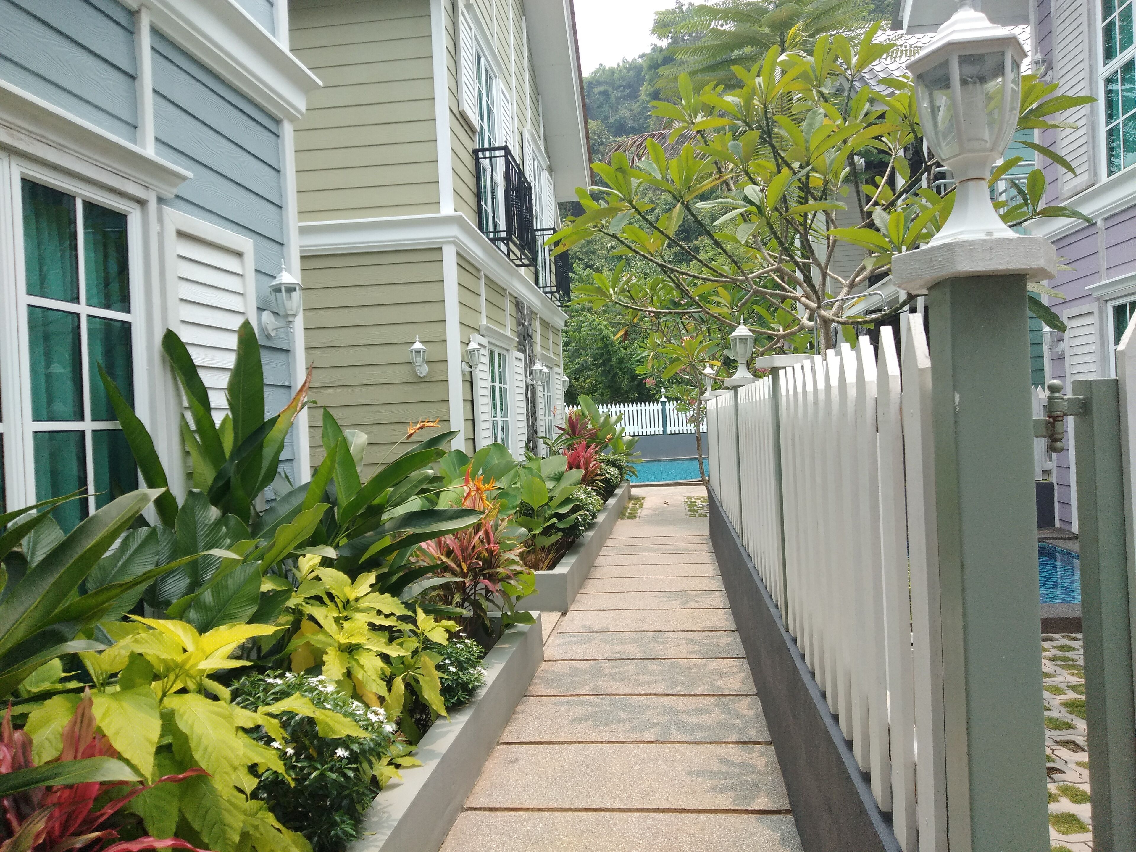 A narrow pathway flanked by lush greenery and a white picket fence, leading to a pool area.