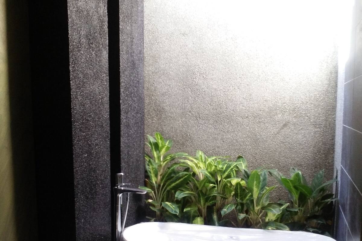 shower, rainfall showerhead, free toiletries, hair dryer