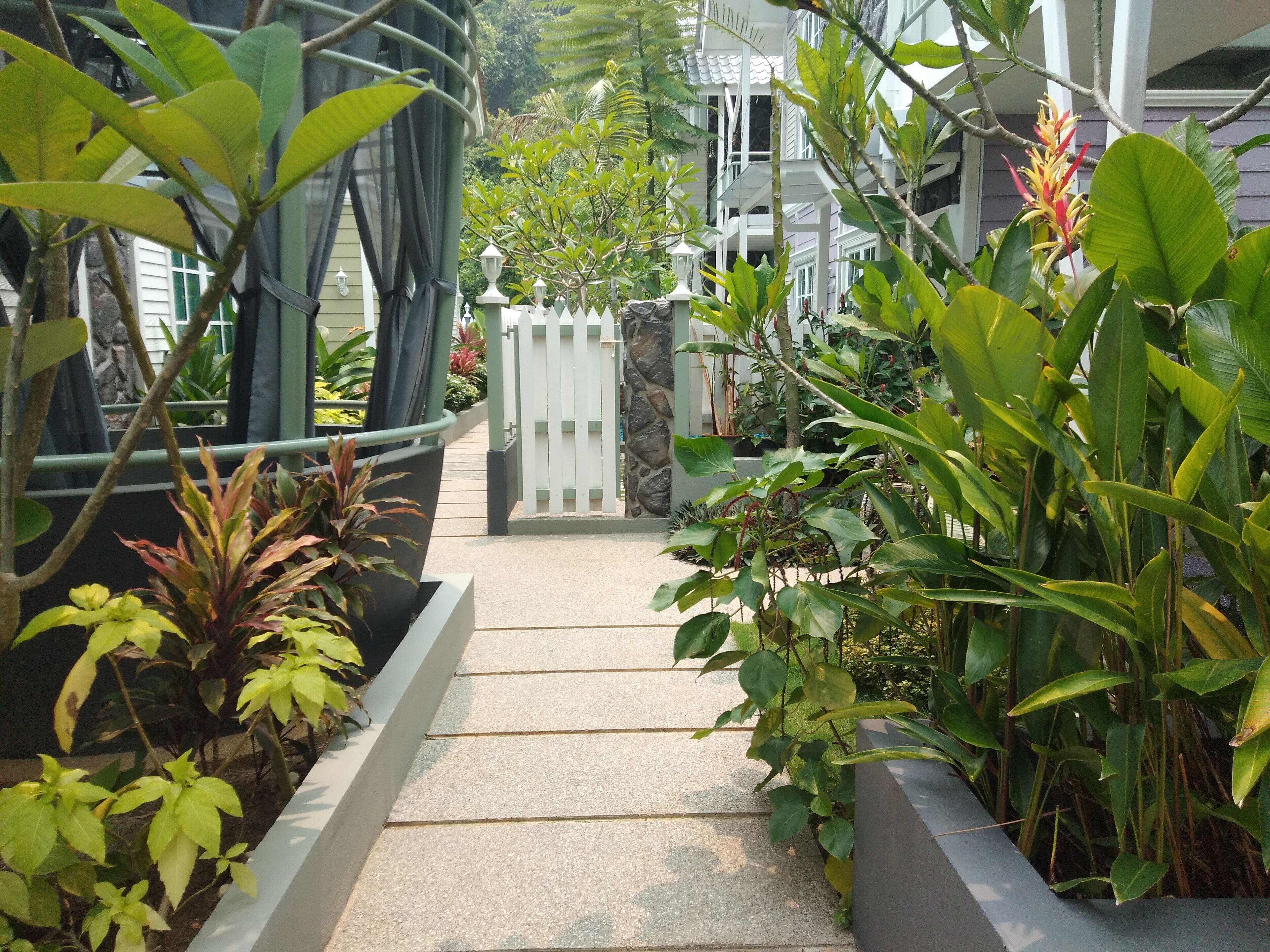 A pathway leading to a gated entrance with lush greenery and a building in the background.