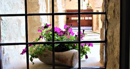 Arco di Vino - Tourist Location