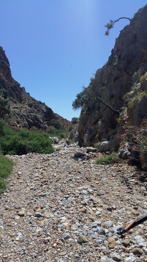 A rocky path in a mountainous area with sparse vegetation and a clear blue sky. - Ambeles Apartments (Sitia)