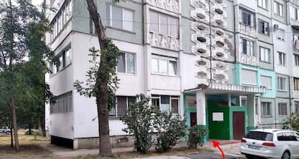 Modern apartments