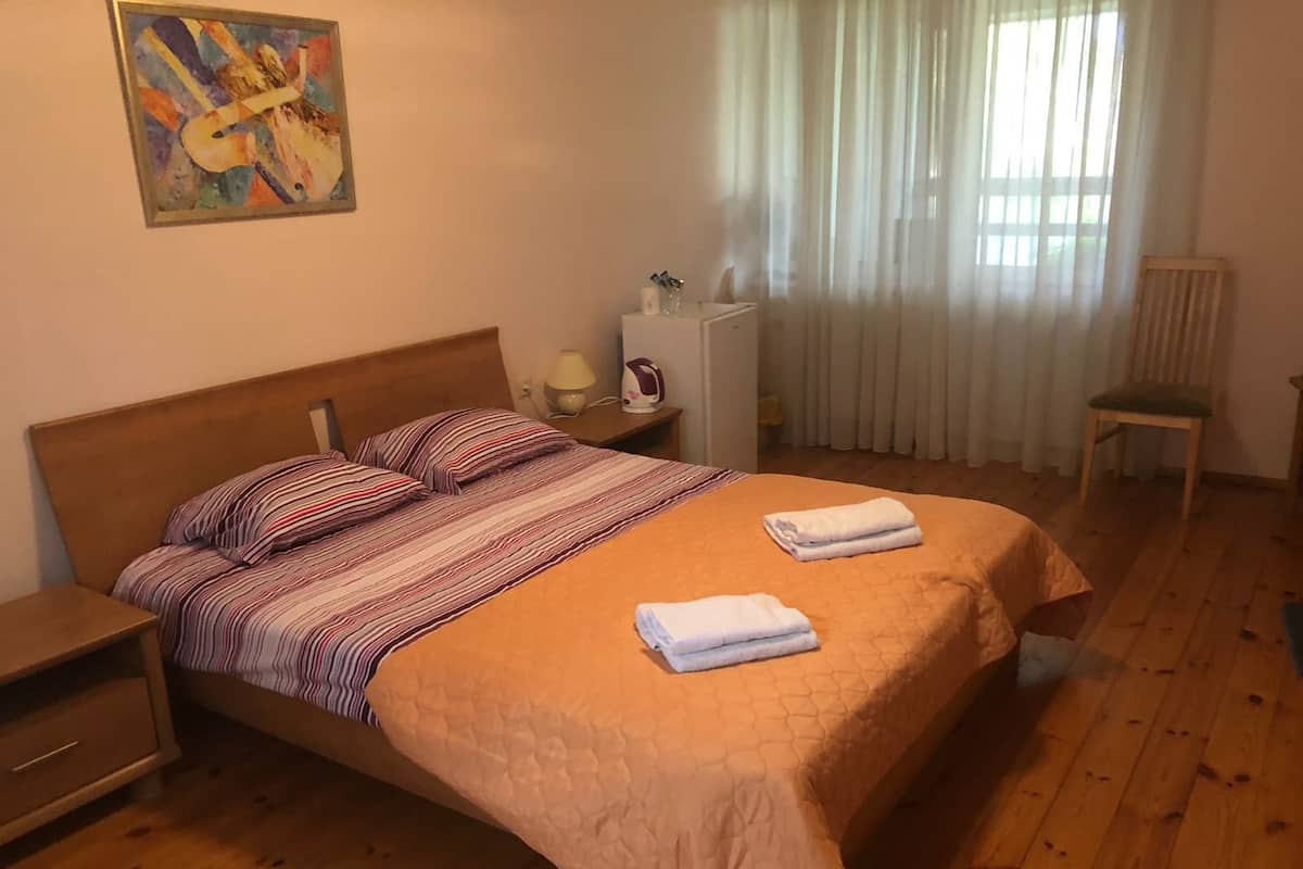 Comfort Double Room | 1 bedroom, minibar, in-room safe, iron/ironing board