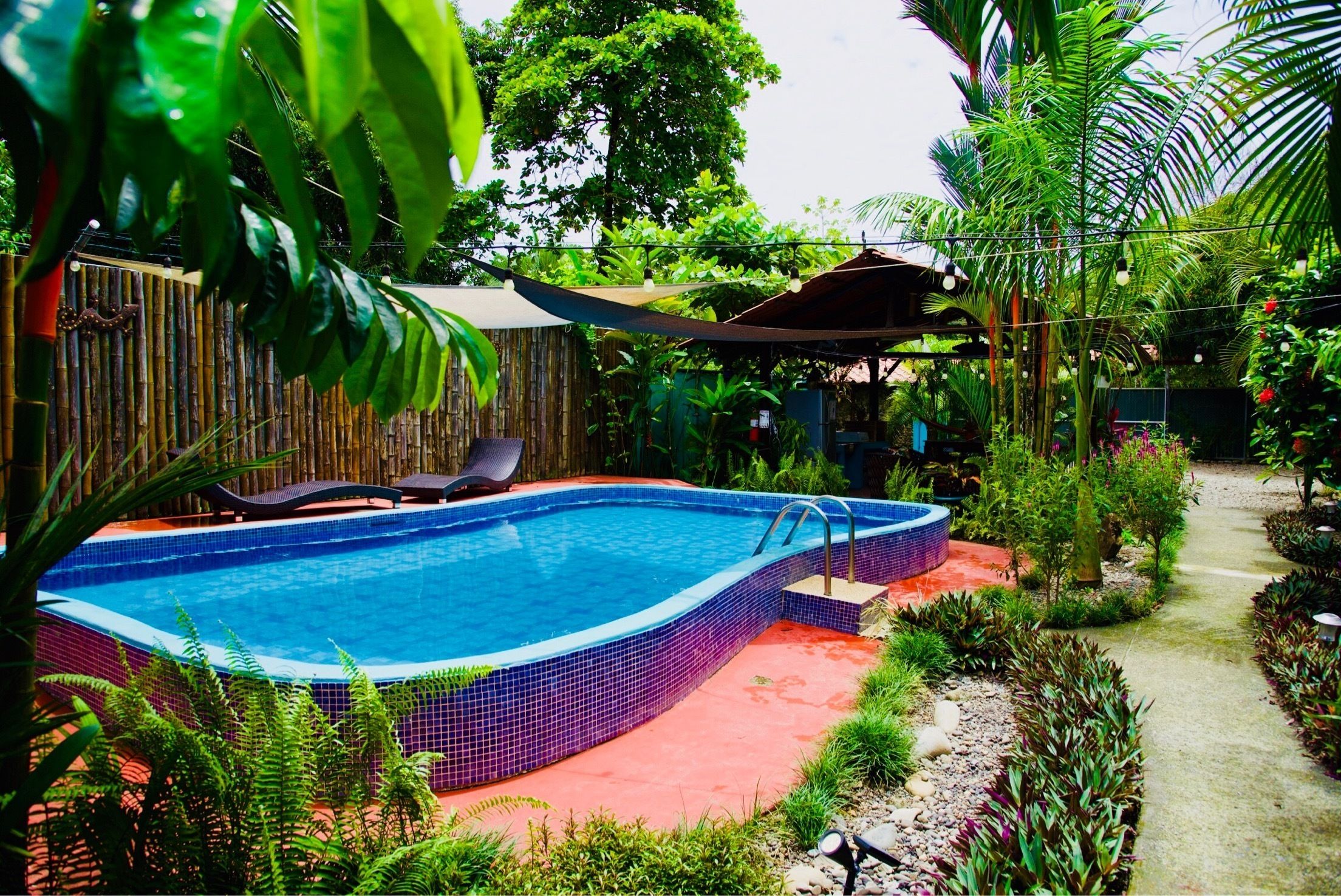 A swimming pool with tiled edges, surrounded by lush greenery and a bamboo fence.