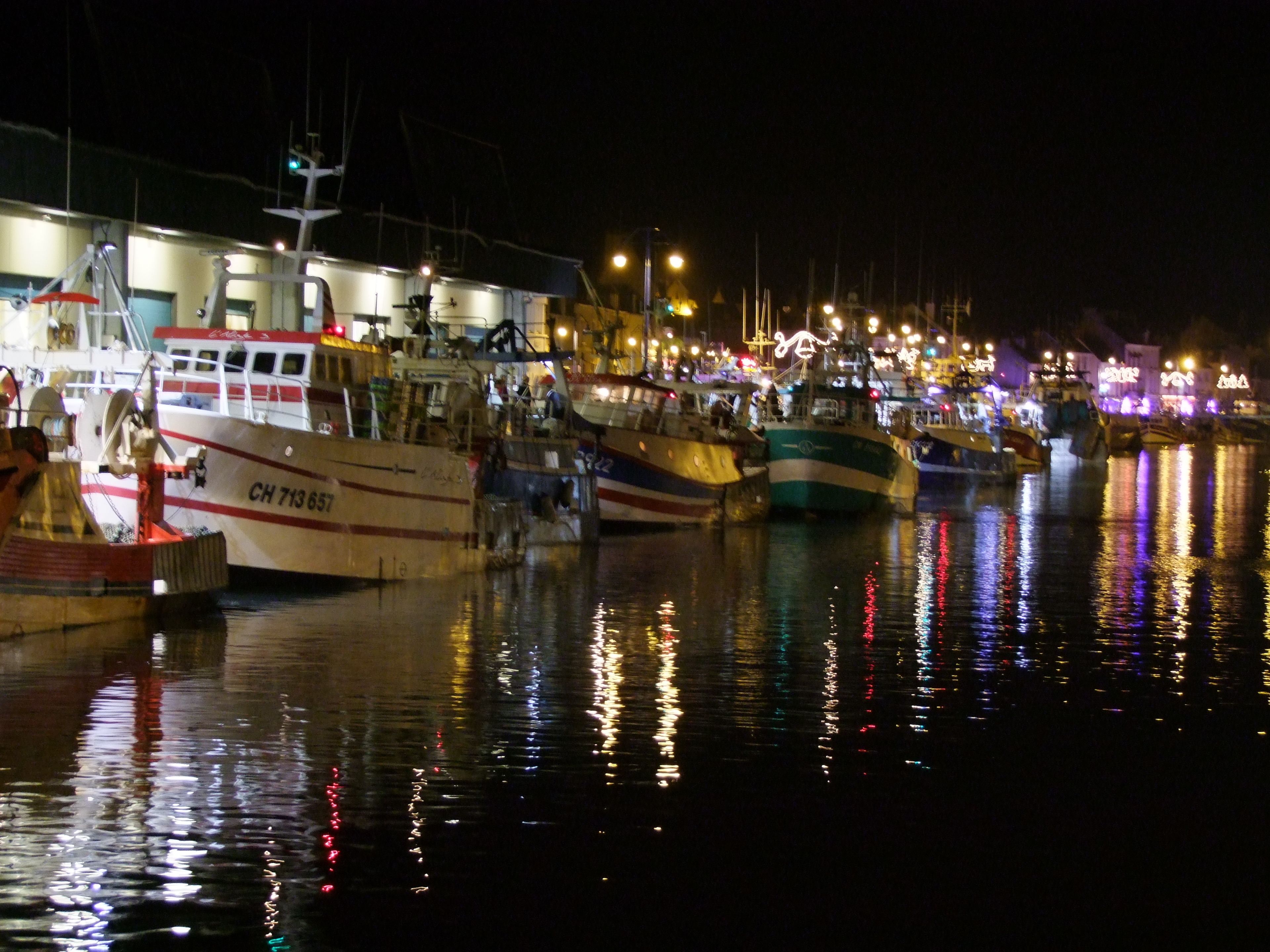 Un puerto deportivo de noche, con varias embarcaciones amarradas, iluminado por luces artificiales.