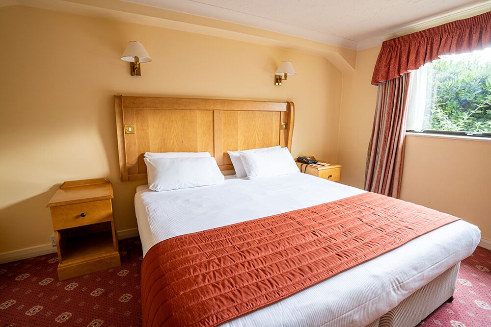 Standard Double Room, 1 King Bed, Non Smoking