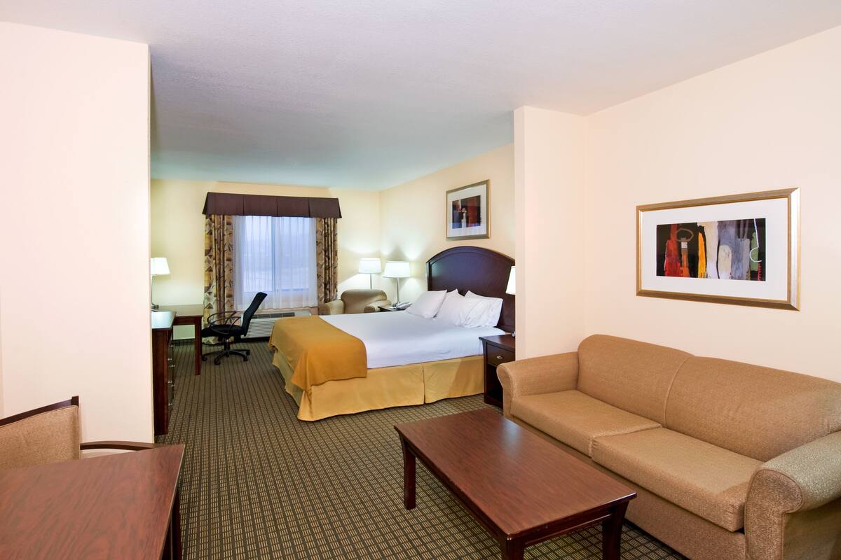 A hotel room with a bed, a sofa, a desk, and a chair.