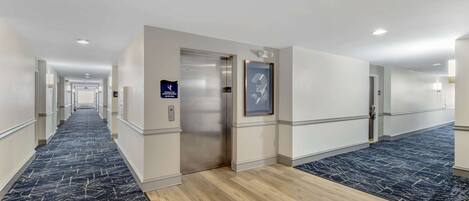 A hotel hallway with a carpeted floor, an elevator, and a framed picture on the wall.