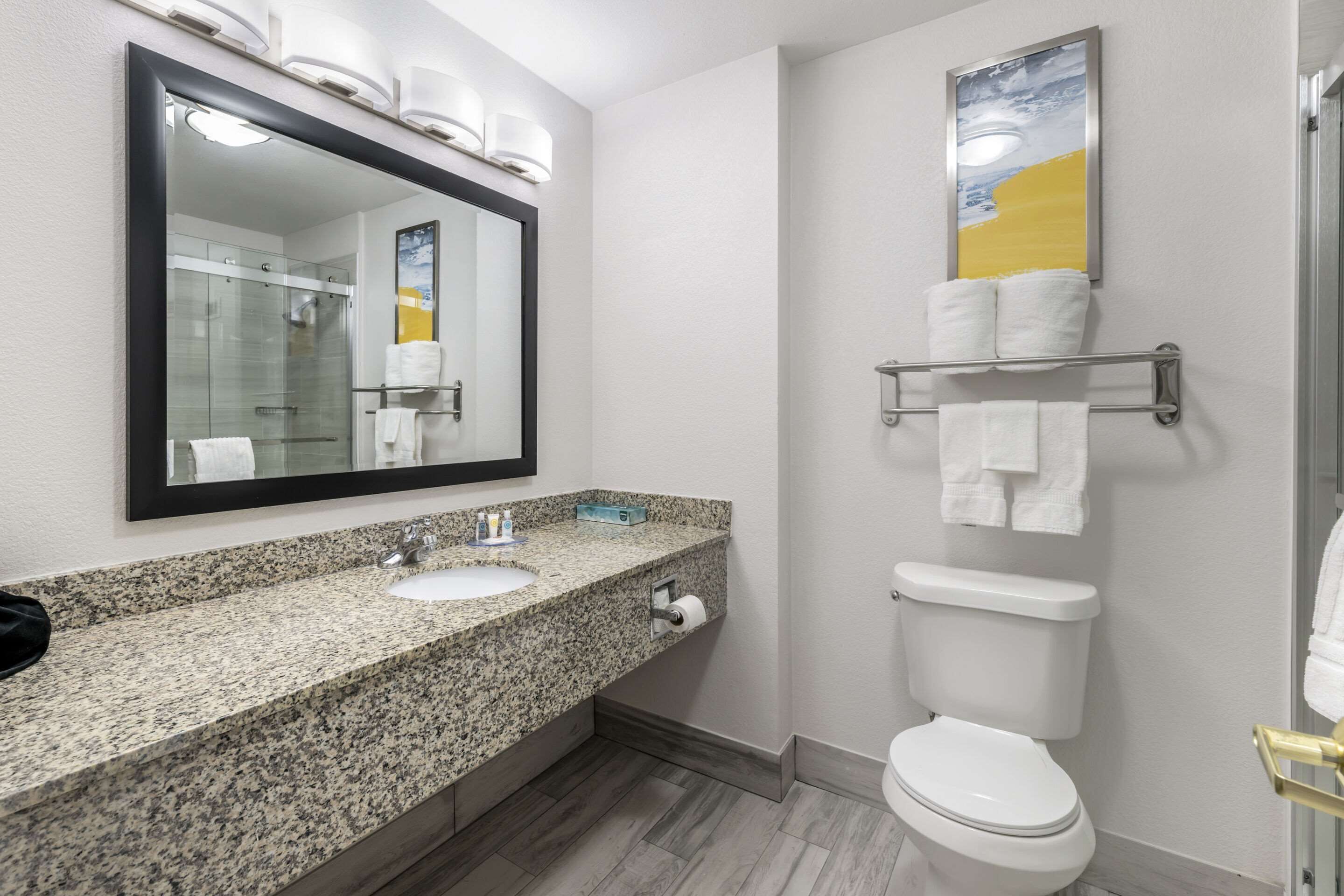 combined shower/bathtub, hair dryer, towels