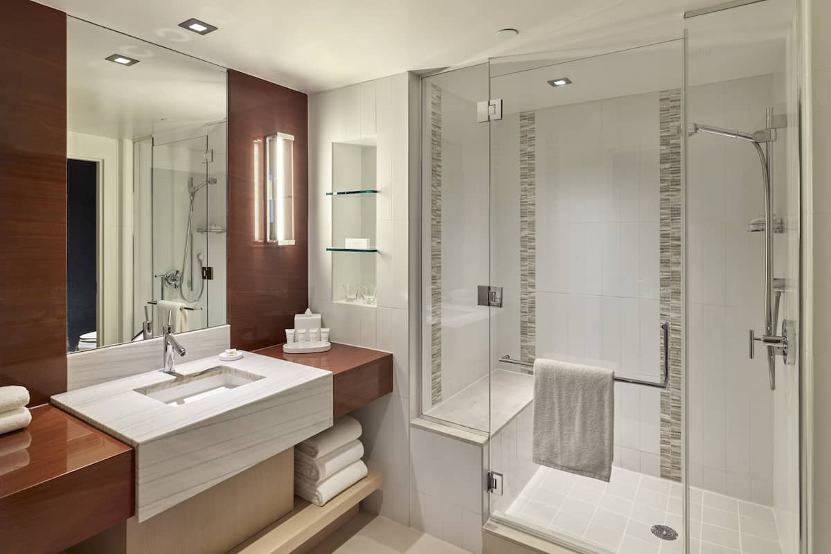 shower, designer toiletries, hair dryer, towels