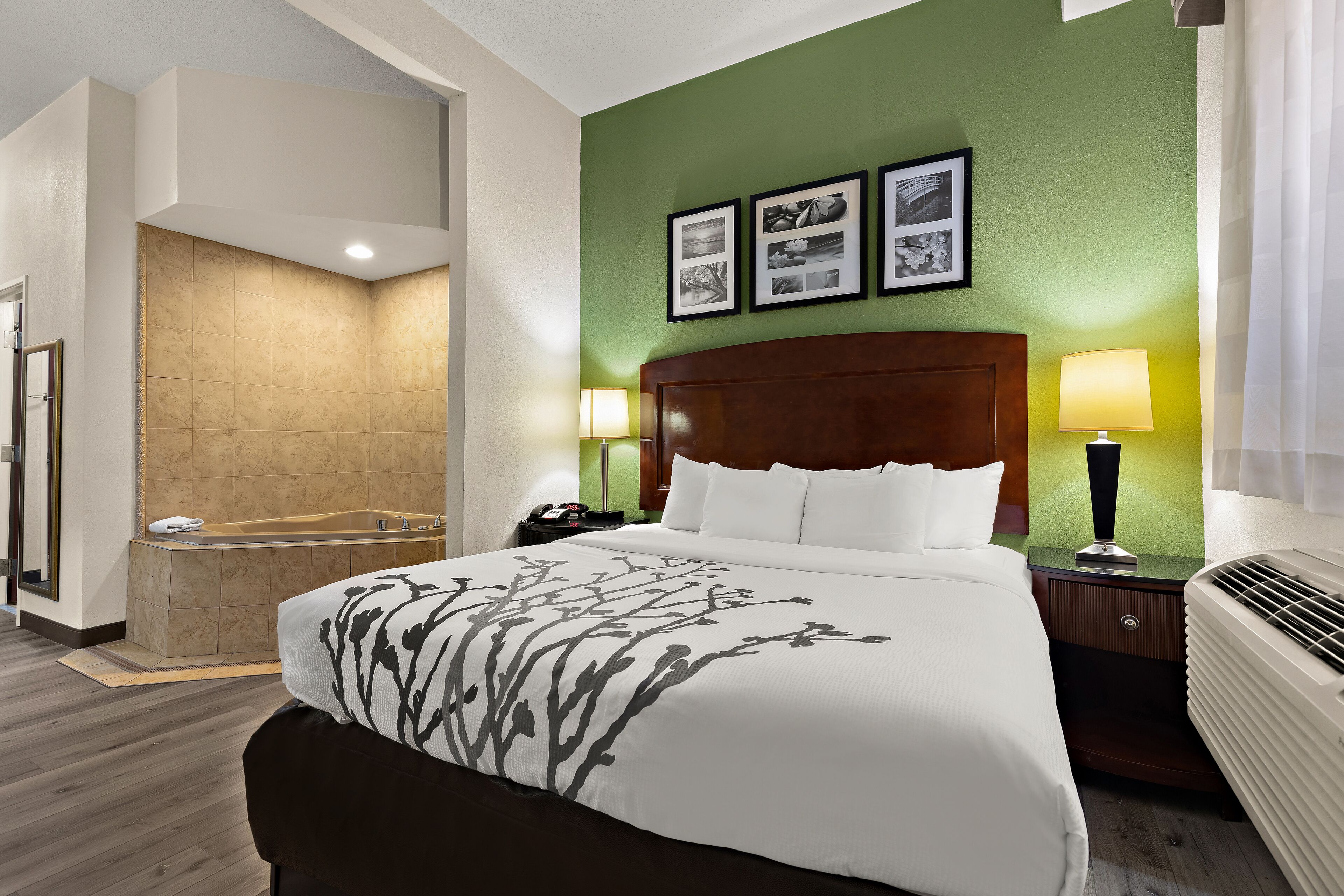 A hotel room with a large bed, a wooden headboard, two bedside lamps, a nightstand, a wall-mounted TV, and a green accent wall.