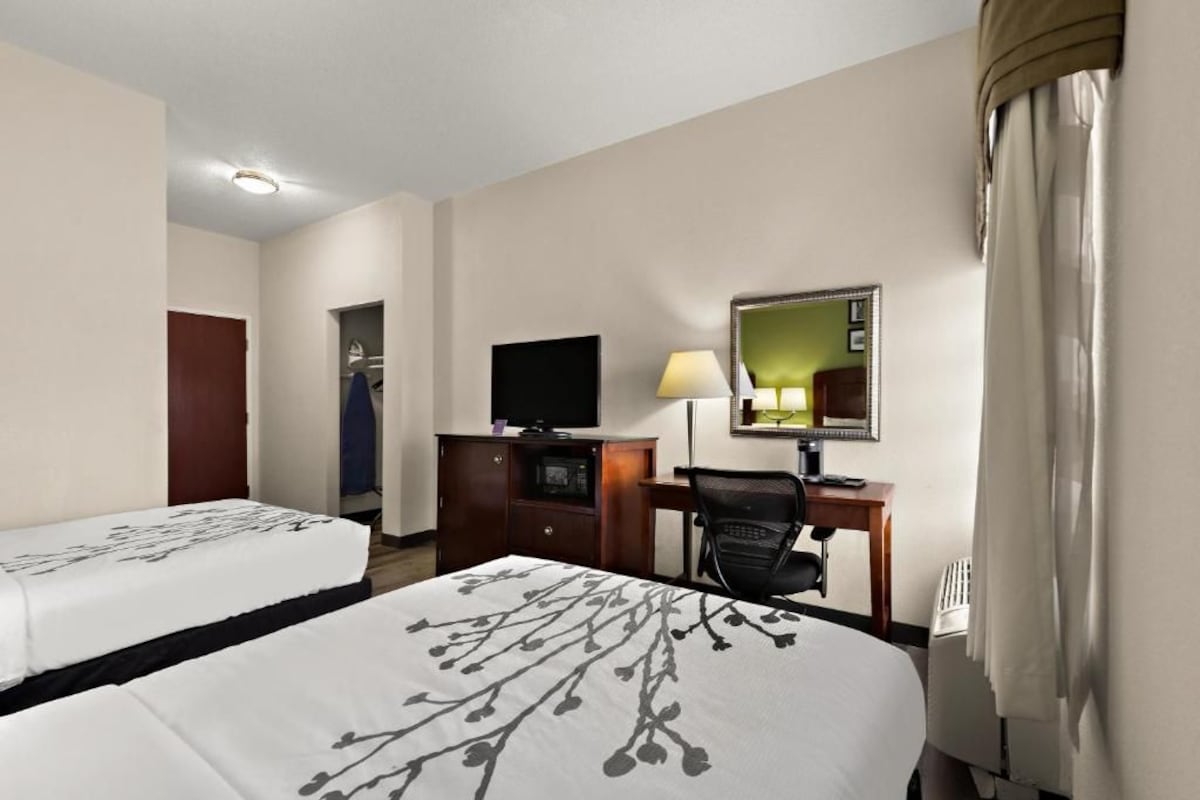 A hotel room with two beds, a desk, a chair, a television, a lamp, and a mirror.