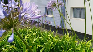 A hotel building with a sign that reads "Kyriad HOTEL" and a garden with purple flowers in the foreground. - Hôtel KYRIAD QUIMPER - Pont-l'Abbé (Pont-l'Abbe)