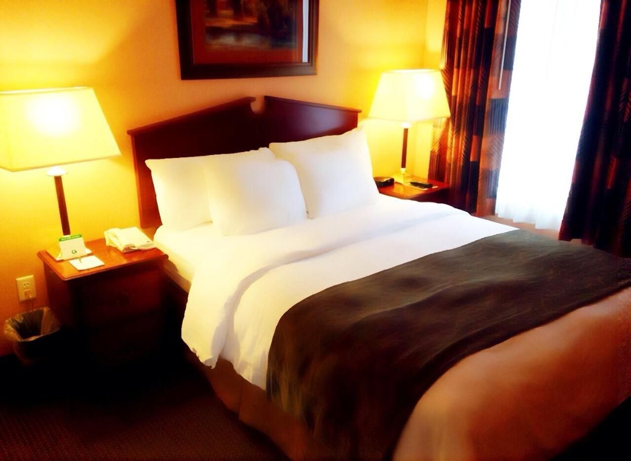 A hotel room with a bed, two bedside lamps, a nightstand, and a trash bin.