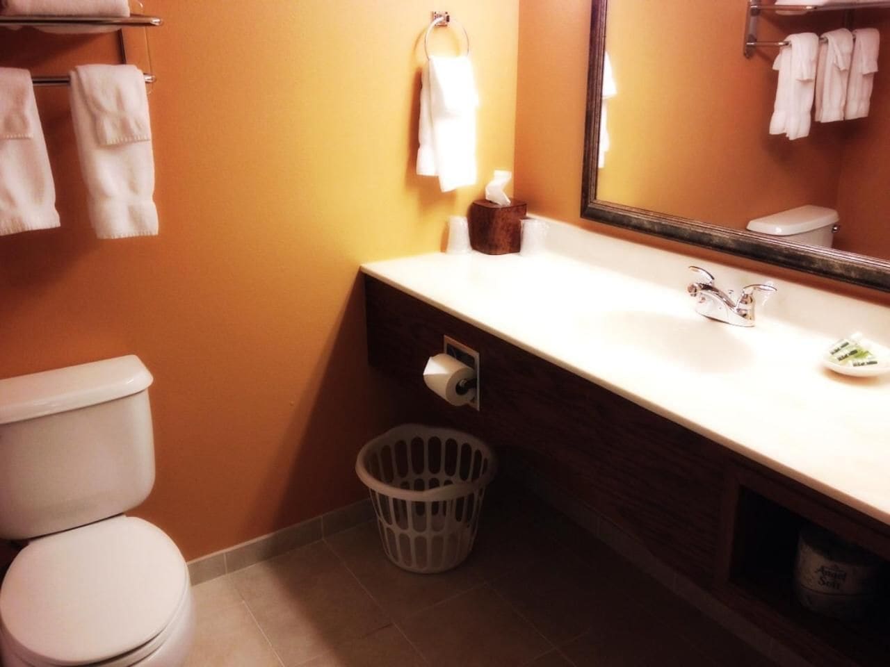 A bathroom with a toilet, a sink, a mirror, a towel rack, and a trash bin.