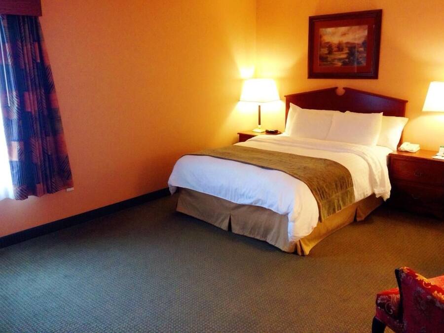 Habitación de hotel con una cama, dos mesitas de noche, una lámpara, una silla y un cuadro en la pared.